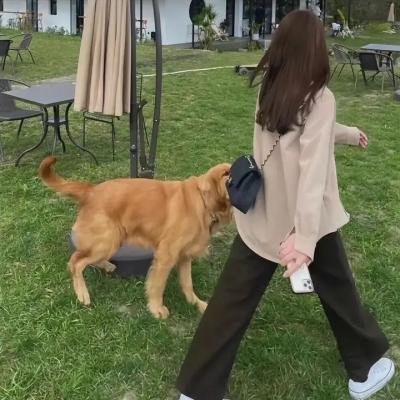 绅士特工